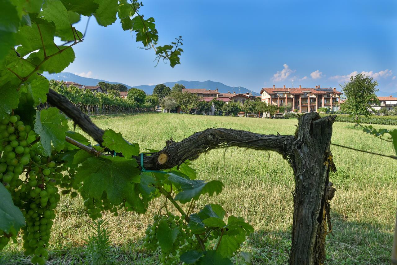 La Terrazza Sulle Vigne B&B Corte Franca Exterior photo